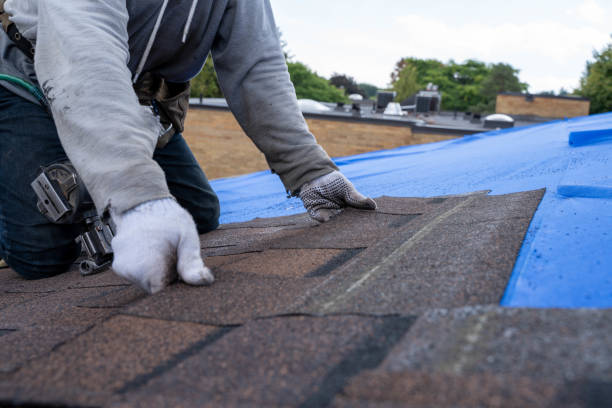Best Roof Repair Services  in Dunkirk, NY